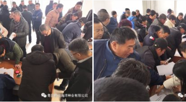 前沿三倍體牡蠣技術熱涌冬季漁鄉(xiāng)