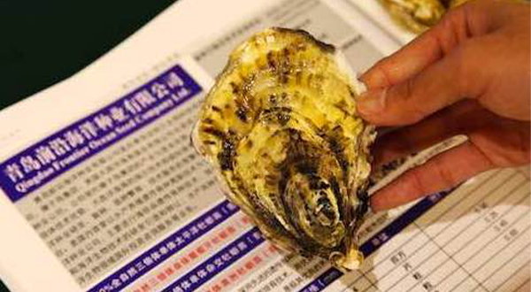 前沿海洋三倍體牡蠣助力中國(guó)牡蠣高峰論壇