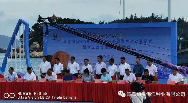 青島前沿三倍體牡蠣助力詔安首屆牡蠣豐收節(jié)