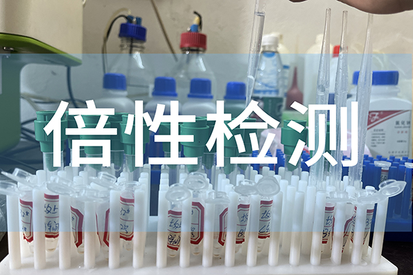 保純|三倍體牡蠣苗種生產(chǎn)過“三關(guān)”