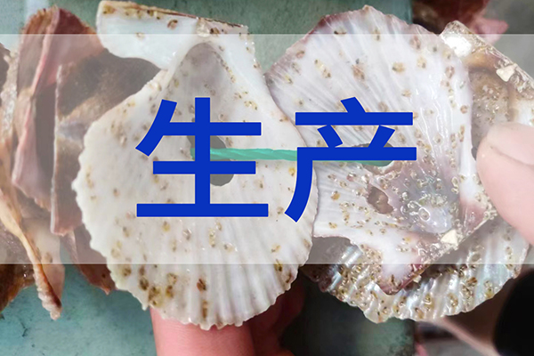 最新速遞:前沿三倍體苗種生產(chǎn)順利進(jìn)行中