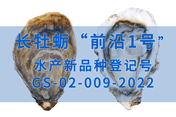 長牡蠣“前沿1號”正式獲批國審水產(chǎn)新品種