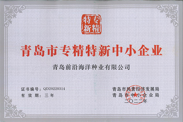 前沿公司獲評(píng)青島市“專精特新”企業(yè)