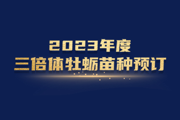前沿公司開啟2023年度三倍體牡蠣苗種預訂
