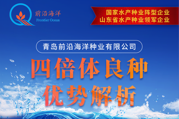 前沿公司四倍體良種優(yōu)勢(shì)解析